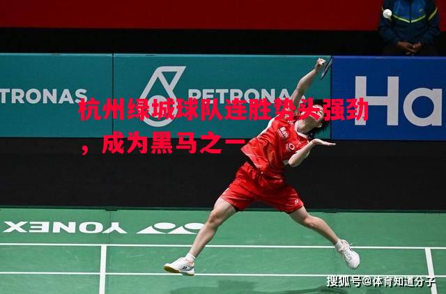 利记官方网站-杭州绿城球队连胜势头强劲，成为黑马之一