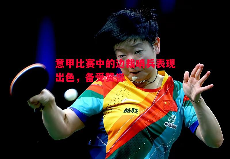 意甲比赛中的边裁哨兵表现出色，备受赞誉