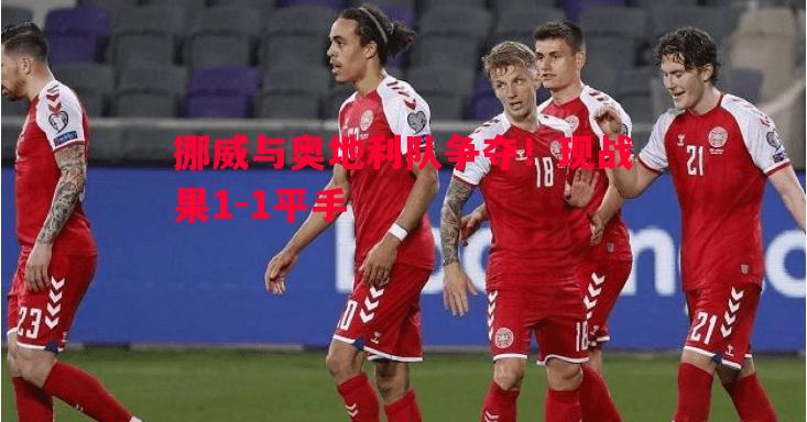 利记平台-挪威与奥地利队争夺！现战果1-1平手