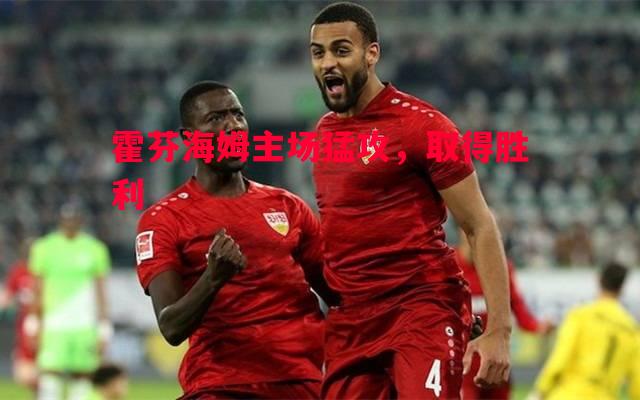 霍芬海姆主场猛攻，取得胜利