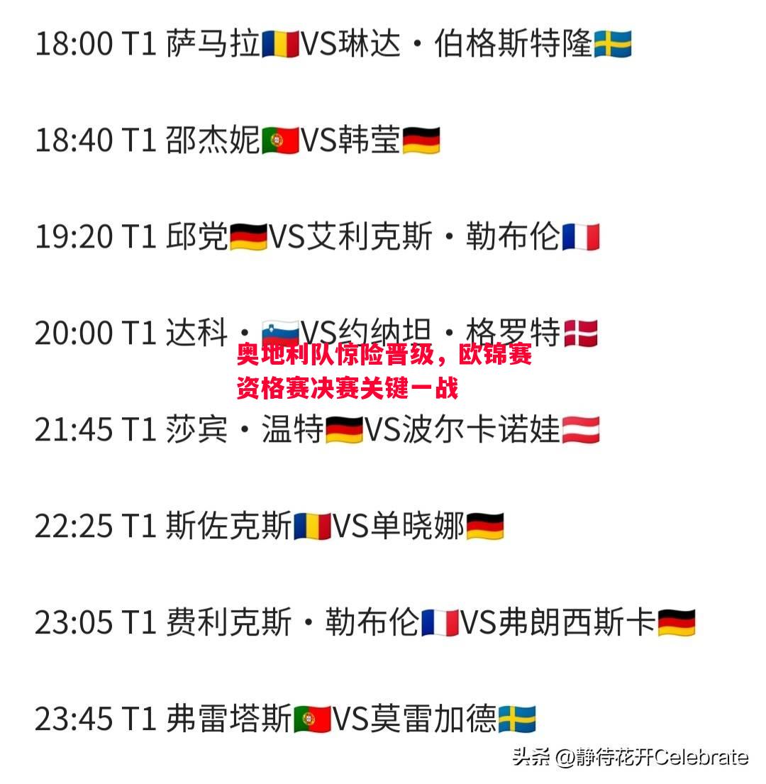 奥地利队惊险晋级，欧锦赛资格赛决赛关键一战