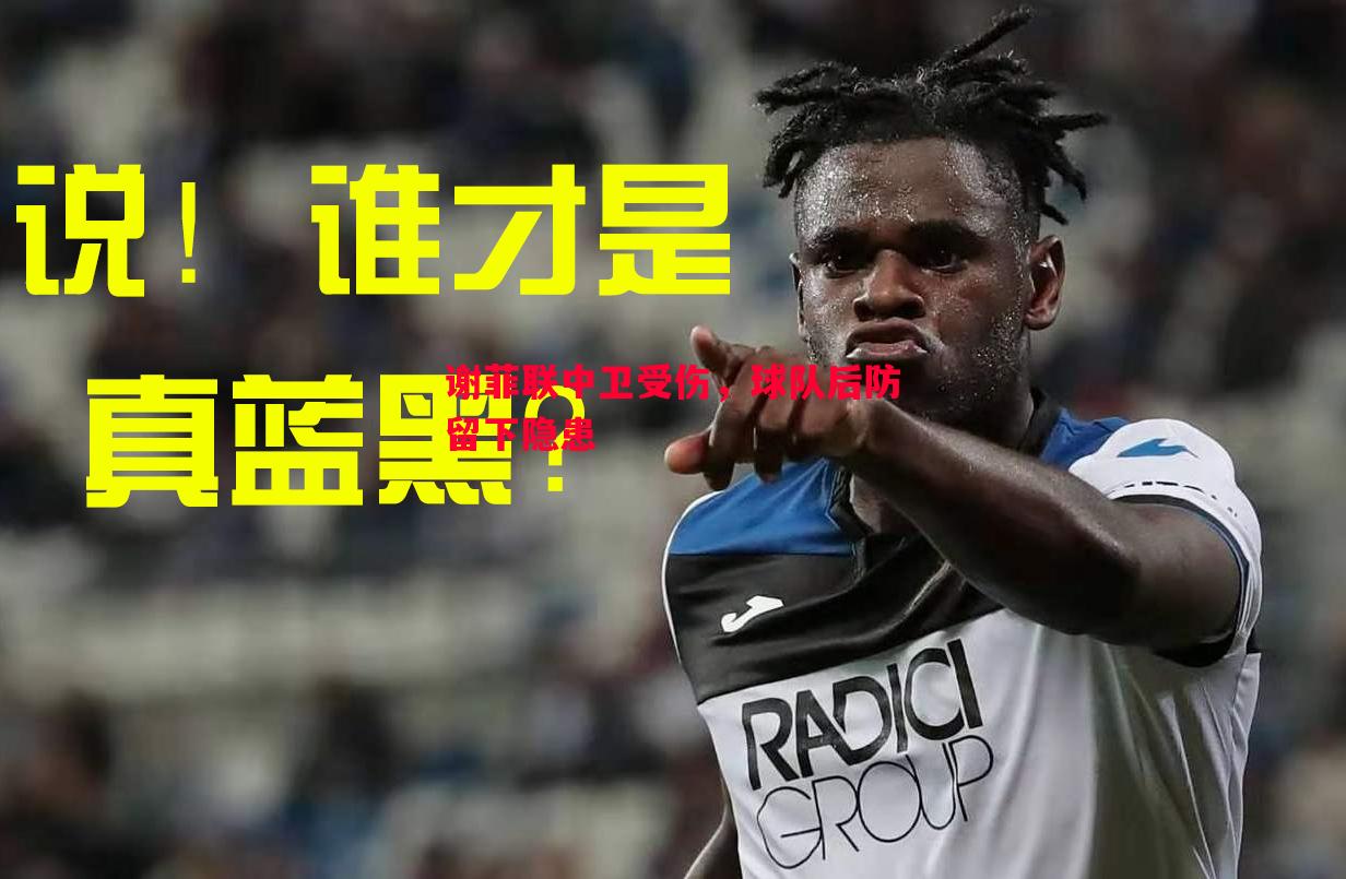 利记平台-谢菲联中卫受伤，球队后防留下隐患