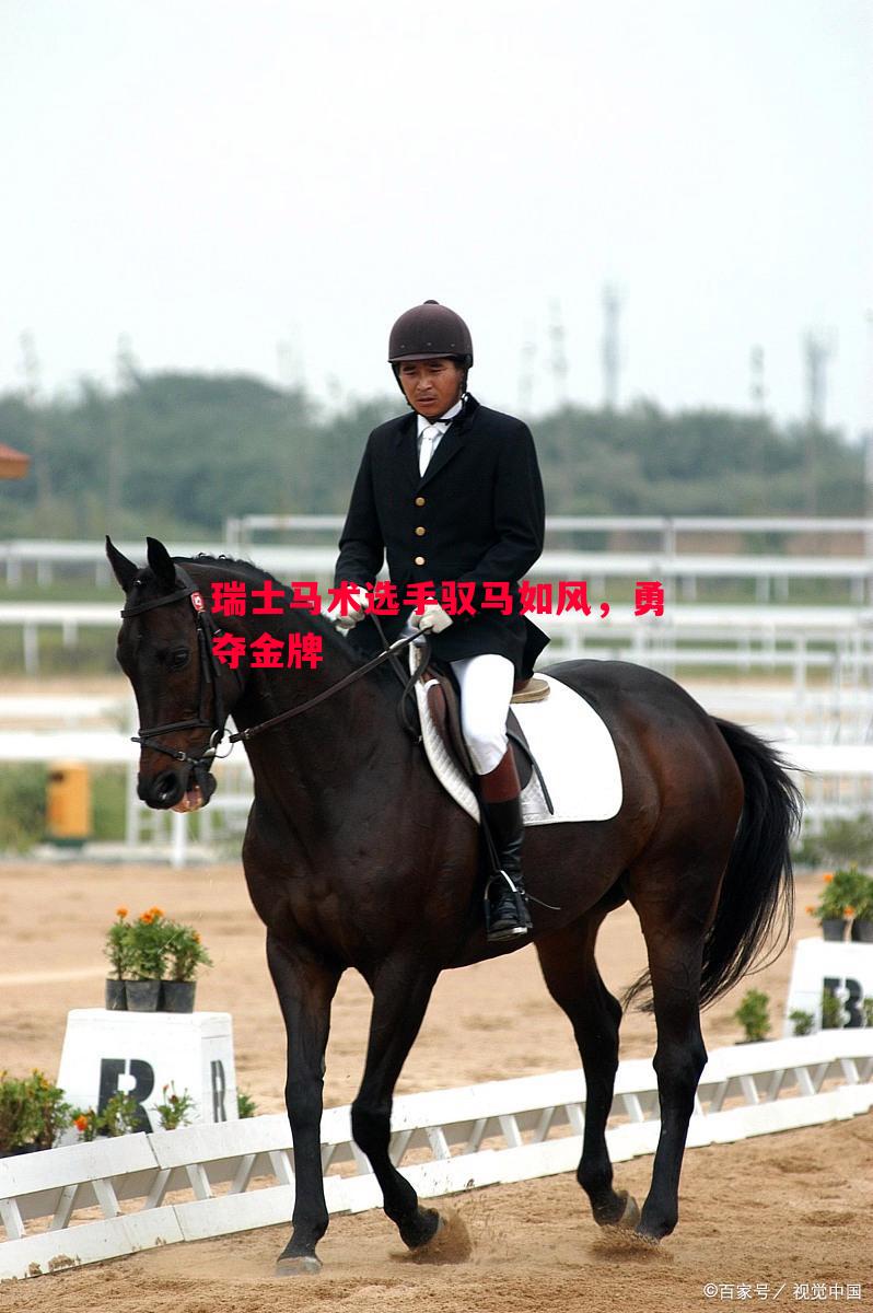 利记官网-瑞士马术选手驭马如风，勇夺金牌