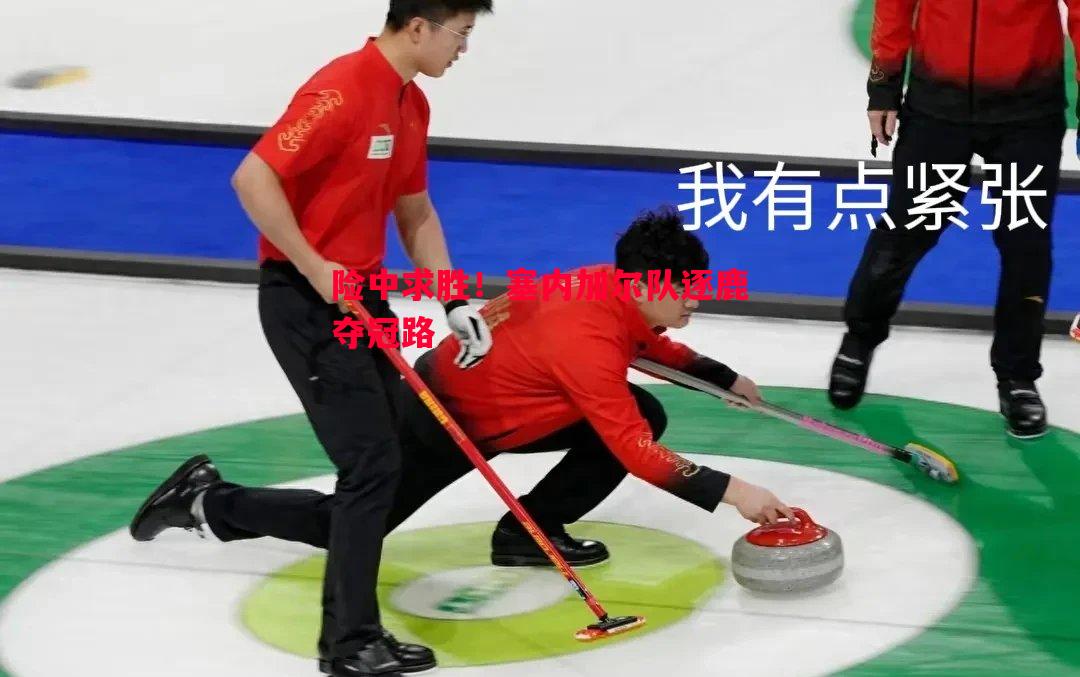 利记-险中求胜！塞内加尔队逐鹿夺冠路