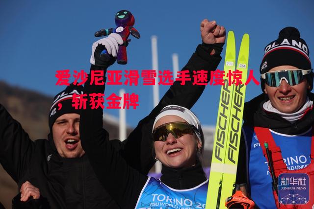 利记-爱沙尼亚滑雪选手速度惊人，斩获金牌