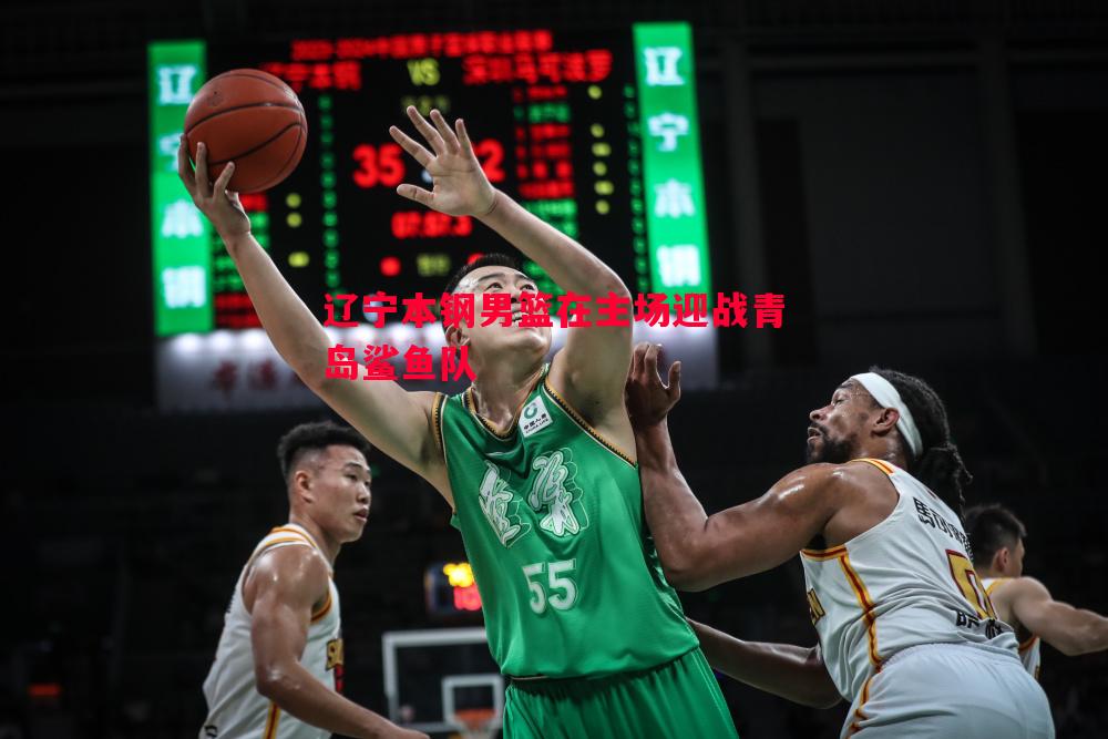 辽宁本钢男篮在主场迎战青岛鲨鱼队