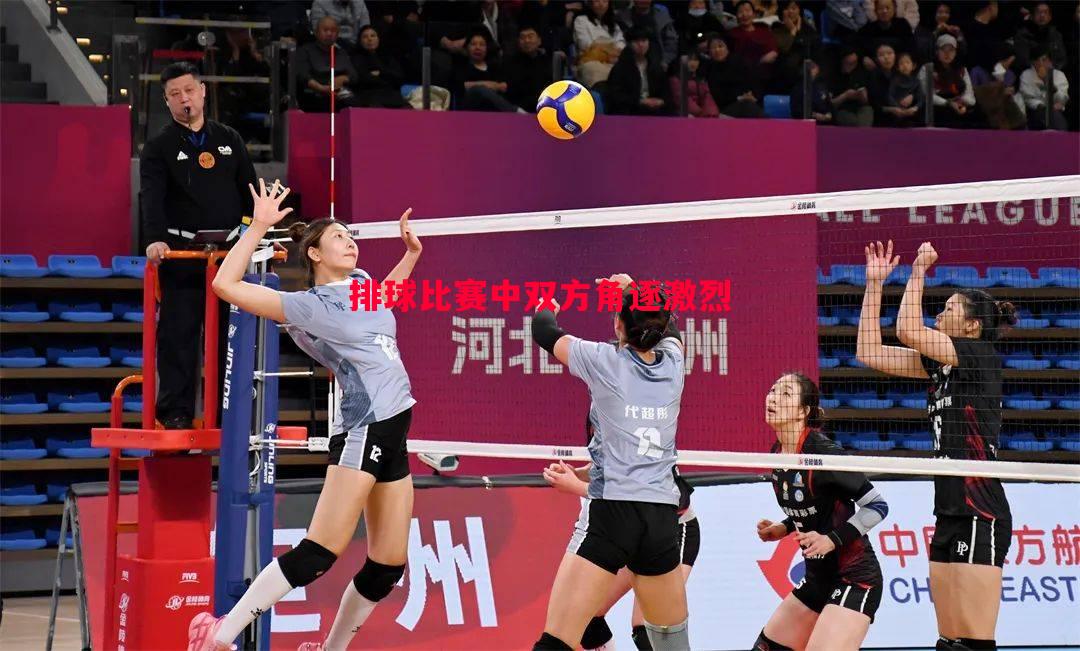 利记官网-排球比赛中双方角逐激烈