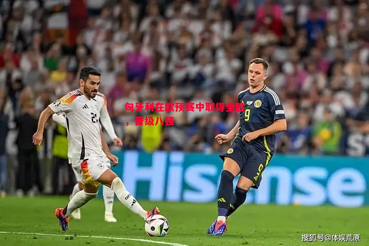 利记官网-匈牙利在欧预赛中取得全胜，晋级八强